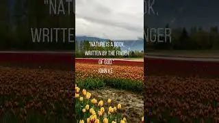 ✝️Fingerprint of God #jesus #god #nature #shorts #short #shortvideo