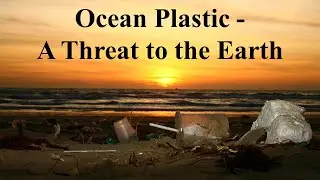 What is The Great Pacific Garbage Patch