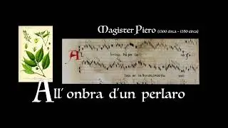 Magister Piero ___ All' onbra d'un perlaro