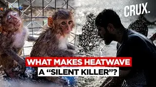 Saudi Arabia To India To US, No Solutions To Heatwave? What Extreme Heat Does To&nbsp;The&nbsp;Human&nbsp;Body