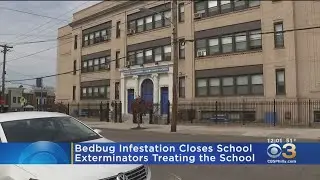 Bed Bug Infestation Shuts Down Local Charter School