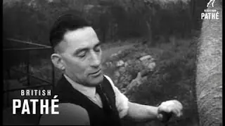 Einen Elefanten waschen (1954)