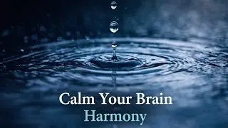 Enjoy 12 Minutes of Peaceful Nature Sounds | Water Drops, Birds & Soft Ambience