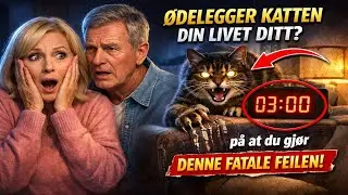 ØDELEGGER KATTEN DIN LIVET DITT? 🙀 5 TEGN på at du gjør DENNE fatale feilen!