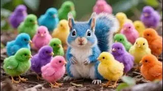 Catch Color Chicken, Cute Chicken, Duck, Rainbow Chicken, Rabbit, Cute Animals