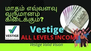 Vestige Levels and their income|Vestige All Pins Conditions|in Tamil