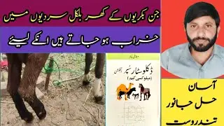 Goat Hoof Problems in Winter | Easy & Proven Solution for Healthy Goat Feet&rdquo;