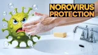 Norovirus vs Coronavirus Which Virus SPREADS FASTER