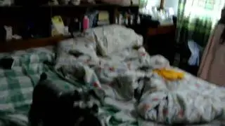 cassie, where's monkey?!