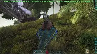 The Power of the Anky! #2 | ARK Survival Evolved 🦖#ark  #ankylosaurus  #arksurvivalevolved  #gaming