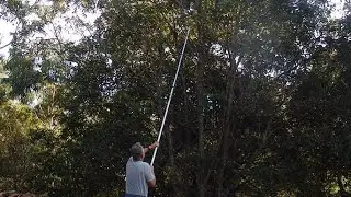 How to Make a Long-Handled Pruner from a Painting Extension Pole - Simple, Easy & Effective