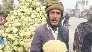 Cauliflower Price Crashes to 10 Rupees per Kg in Zafarwal Farmer Breaks Down in Tears