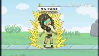 Miku Dreams is Senpai❤️❤️❤️