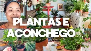 ERA SÓ PRA DISTRAIR A CABEÇA, E VIROU UM CANTINHO ACONCHEGANTE CHEIO DE PLANTAS 