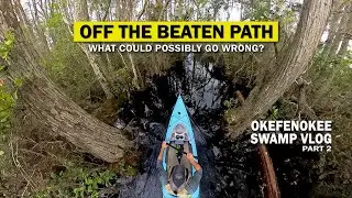 Okefenokee Swamp: Exploring NEW Areas 🦌 | VLOG Part 2