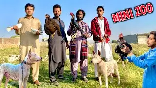 Visited at Mini Zoo 😍 |ukhan vlogs| #ukhanvlogs