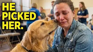 When Dogs Pick Their People, This Happens