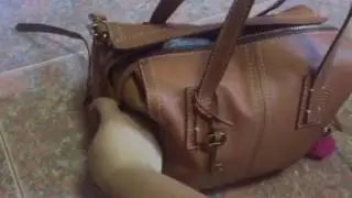 Fossil Emma Satchel Review