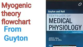 myogenic theory flowchart from Guyton chapter 17 by YARK study info| myogenic theory flowchart