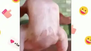 RipaT
