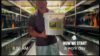 How we start a work day in santaremdiscusplus.com