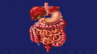 Gas At Night: Causes And Prevention