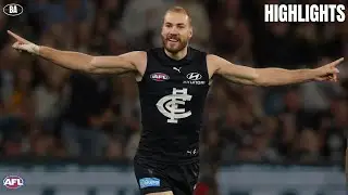 The BEST of Harry McKay | 2024 AFL Highlights