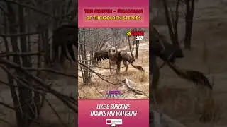 The Griffin &ndash; Guardian of the Golden Steppes | 36 Animal Sub