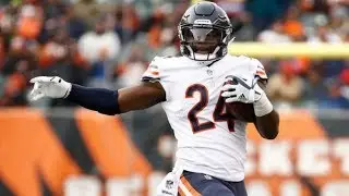 Jordan Howard FULL 2017 Highlights