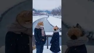 🇯🇵🎄💖雪の街で出会う茶トラ猫のクリスマス &mdash; A Heartwarming Tabby Cat Christmas Story #Cat #Cinematic #映画