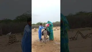 Desert Women Fetching Water with a Donkey&rsquo;s Help