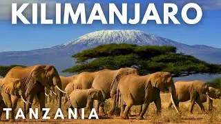 KILIMANJARO, the Highest Free-Standing Mountain in the WORLD |  Discover this Tanzanian Marvel