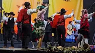 🥁 Grupo Folclórico da Casa do Povo de Ronfe I 2023