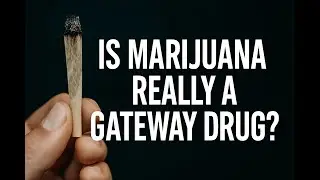 Is Marijuana Really a Gateway Drug? The Truth Behind the Science (Deep Dive Explained)
