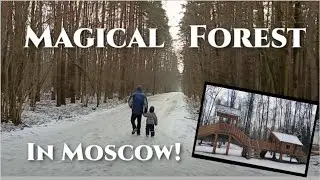 American Toddlers Explore the Second Biggest Park in Europe!