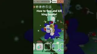 How to find and kill king beetle! #beeswarmsimulator #beeswarm