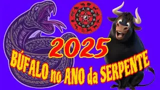 Búfalo em 2025 no Ano da Serpente - FEng Shui EP64
