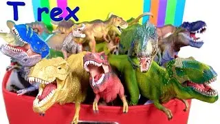 DINOSAUR Box Toy Collection TYRANNOSAURUS REX Jurassic World T rex Toy Review SuperFunReviews
