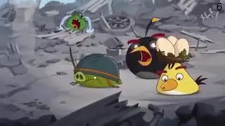 How Many Times Did Minion Pigs Cry?