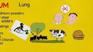 Cancers Part 2   Metals  Cancer & Carcinogens   Common Cancer Causing Substances & Your Exposure