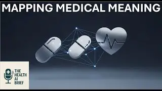047 Embeddings - The Medical Dictionary for AI