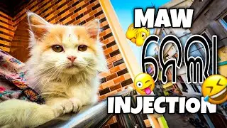 MAW NELA INJECTION 😂😂 || HN VLOGS ||