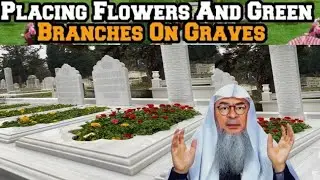 Can we plant a tree to reduce torment of grave & Pour water for coolness of the grave Assim al hakee