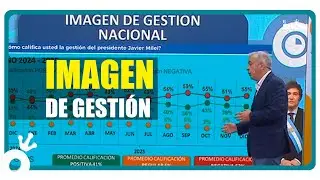 Javier Milei que cierra el año con un 55% de imagen negativa y una sociedad pesimista
