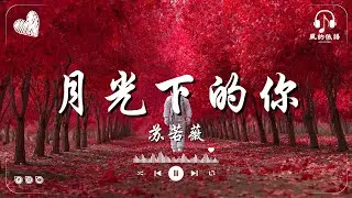 月光下的你 - 苏若薇『每次看见你，心里充满了安宁。』♪