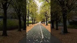 Stunning Autumn in Malm&ouml;