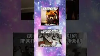 Почему я не спал в салике?😭 #мемы #жиза