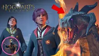 This Hogwarts Legacy Quest was so exciting!! I saved a Dragon at Horntail Hall🐲  #hogwartslegacy 