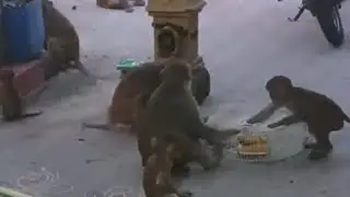 maa intiki kothulu vachhiny🤣🤣
