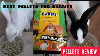 Rabbits Pellets Unboxing And Review | Best Pellets For 🐇 | खरगोशों के लिए सर्वश्रेष्ठ भोजन